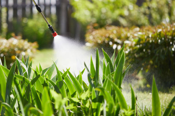 24/7 Emergency Ant Control experts in Park City, UT