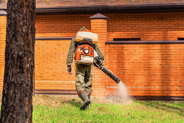 Trusted Termite Control service in Park City, UT - Nex Pest Control